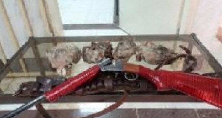 دستگیری چهار شکارچی غیر مجاز و کشف و ضبط دو قبضه اسلحه پران در روانسر 