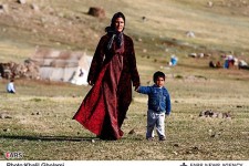 	سوخت رسانی به عشایرکرمانشاه انجام می شود/ توزیع ۵۰ هزار سیلندرگاز 