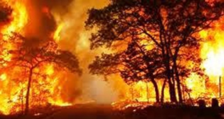 	100 هکتار دیگر از جنگل های بخش فیروزآباد در آتش سوخت/ وحشت روستائیان از شراره های آتش مراتع طبیعی 