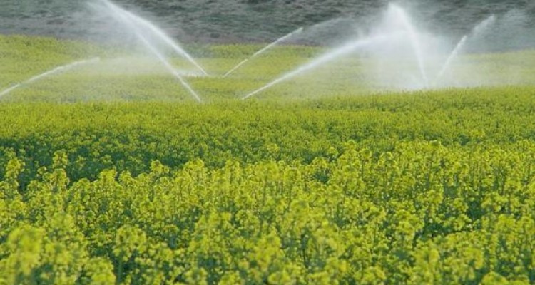 ۳ طرح کشاورزی در استان کرمانشاه افتتاح شد