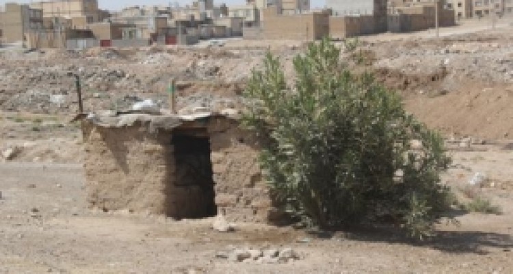 لزوم رسیدگی به مشکلات فرهنگی شهرک های جدید سرپلذهاب/ معضلات زندگی در کنار احشام بیخ گوش شهر 