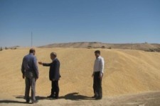 پرداخت ۹۳ درصد از مطالبات گندم کاران کرمانشاهی 