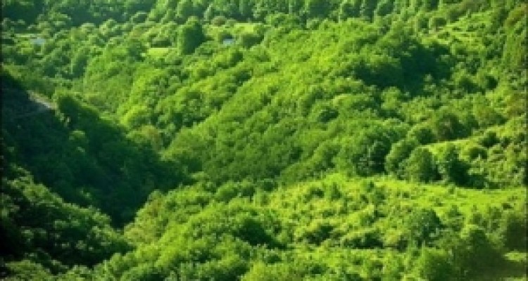 پروژه بین المللی مناریددرتمامی شهرستان های کرمانشاه اجرایی می شود 