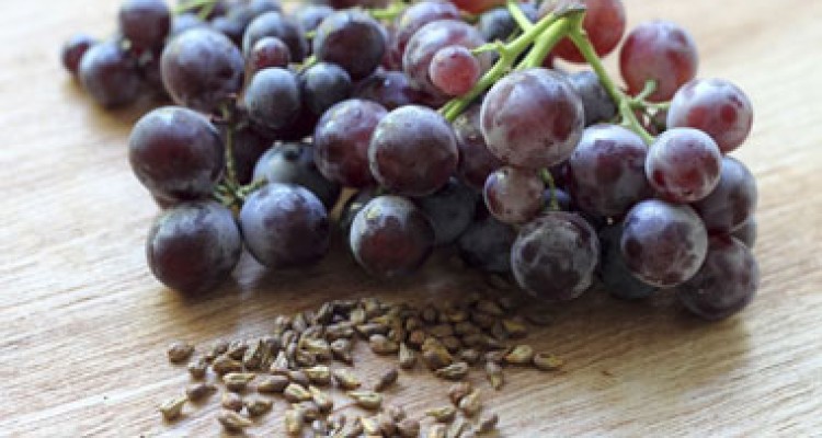  خواص هسته ی انگور برای بدن 
