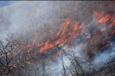 	وقوع حریق در۱۷۵هکتار از جنگلهای گیلانغرب/ ۵۰۰ میلیون خسارت واردشد 