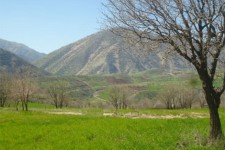 	چهار فصل منطقه گردشگری شروینه از توابع شهرستان جوانرود 