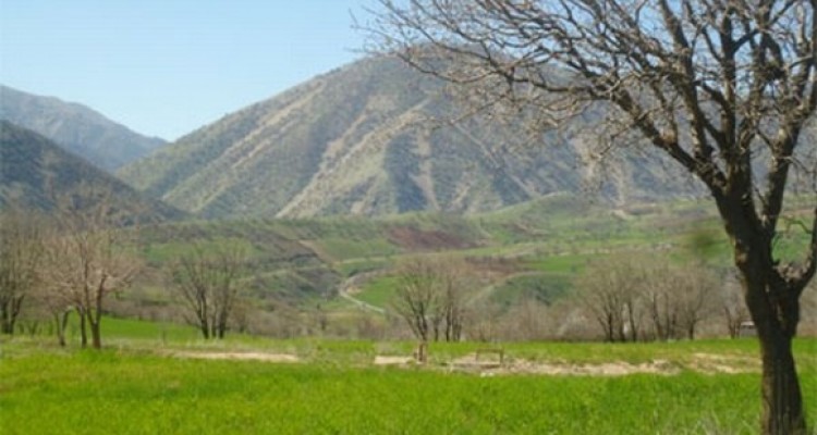 	چهار فصل منطقه گردشگری شروینه از توابع شهرستان جوانرود 