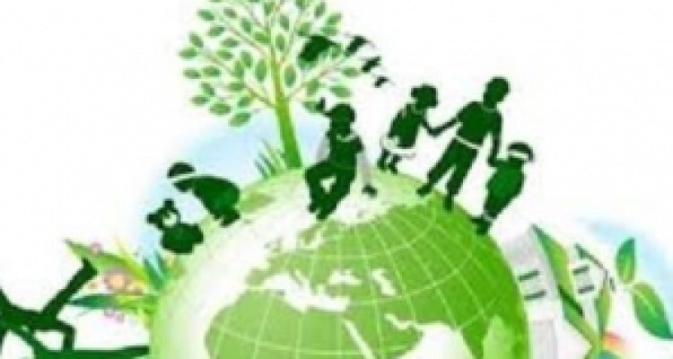 	پیاده‌سازی نظام مدیریت سبز در کرمانشاه به حمایت ادارات نیاز دارد 