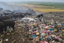 گره کور دپوی زباله های شهری شهرستان کنگاور باز شد + تصویر