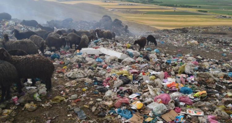 گره کور دپوی زباله های شهری شهرستان کنگاور باز شد + تصویر