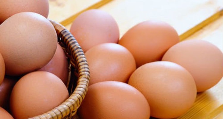 	سالانه ۱۰ هزار تن تخم مرغ در کرمانشاه تولید می شود 