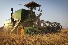 	بیش از 99 درصد مطالبات گندمکاران کرمانشاهی پرداخت شده است 