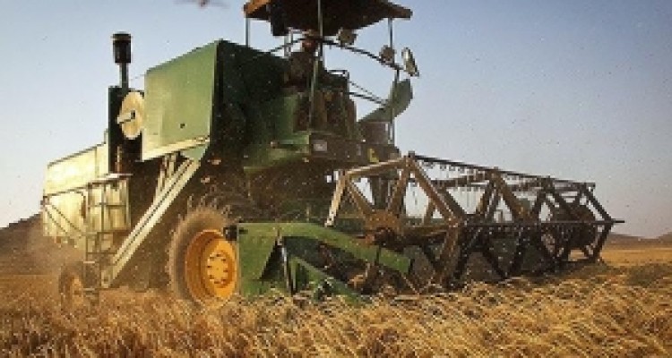 	بیش از 99 درصد مطالبات گندمکاران کرمانشاهی پرداخت شده است 