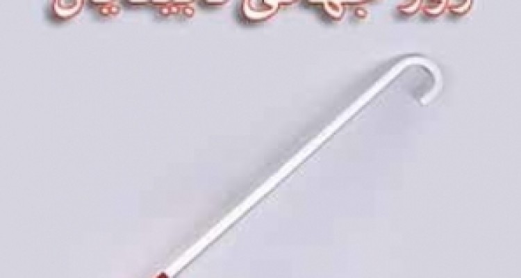 	حمایت‌های اندک مسئولان پاسخگوی نیاز نابینایان نیست 