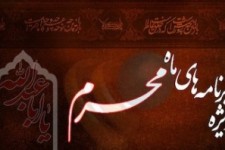 	مجالس سوگواری سروروسالارشهیدان برپایه بصیرت افزایی خواهدبود 