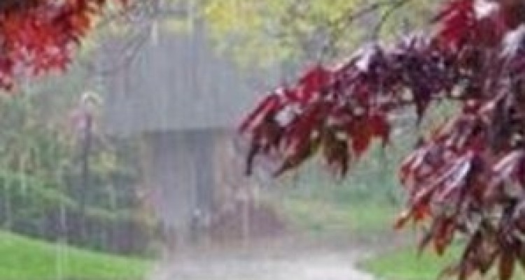 	بارش باران سطح آب چشمه‌های پاوه را افزایش داده است 