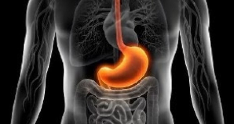 	نقش وضع اقتصادی با امکان بروز سرطان معده/ لزوم آزمایش آندوسکوپی عمومی برای تشخیص زودتر بیماری 