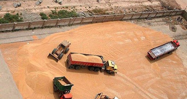   در قبال واردات گندم‌ از کشورهای آلوده کوتاه نمی‌آییم/ موضوع را روشن می‌کنیم