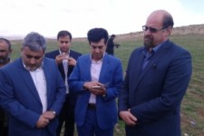 	اشتغال مستقیم 250 نفر با ایجاد گلخانه هیدرو پونیک در اسلام آباد غرب 