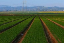 	پروژه "گندمبان" و "بان‌خوشاب" گرفتار کمبود اعتبار یا فقدان برنامه؟/ بسیج برای حل مشکل به میدان می آید 