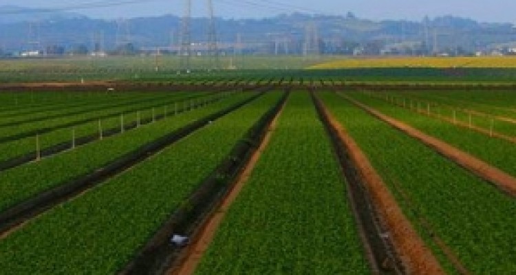 	پروژه "گندمبان" و "بان‌خوشاب" گرفتار کمبود اعتبار یا فقدان برنامه؟/ بسیج برای حل مشکل به میدان می آید 