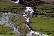 چالش‌های سازمان محیط‌زیست وسیاستهای ابلاغی/ساختارکنونی جوابگونیست