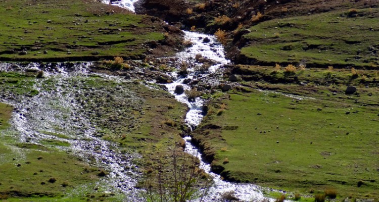 چالش‌های سازمان محیط‌زیست وسیاستهای ابلاغی/ساختارکنونی جوابگونیست