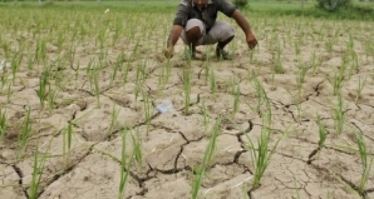 	معضل بيکاری مهندسان کشاورزی گیلانغرب/ واگذاری اراضی تنها روی کاغذ 