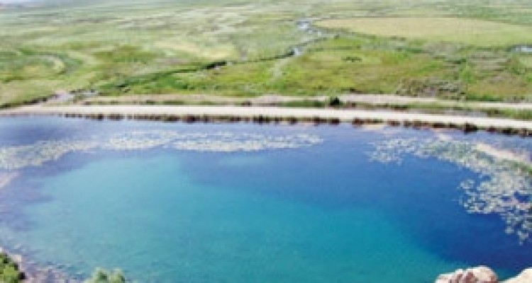 	سایت پرنده نگری هشیلان موقعیتی برای انجام تحقیقات علمی است 