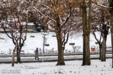 	مدارس کرمانشاه امروز با تاخیر آغاز می‌شود 