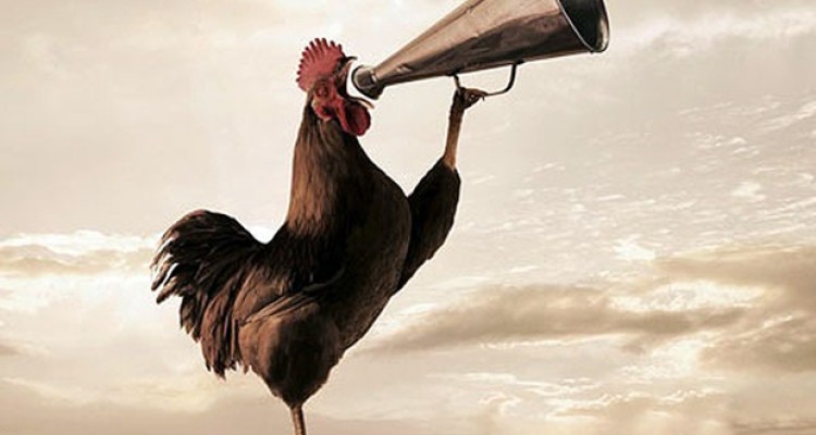  فواید سحر خیزی و روش هایی برای سحرخیز بودن 