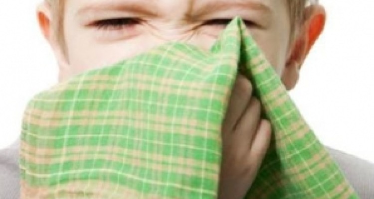 در کنگاور کسی بر اثر آنفلوآنزا فوت نکرده است/ لزوم پرهیز از شایعه پراکنی