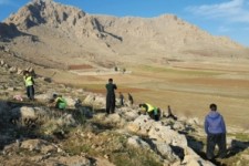 	کاشت بذر گیاهان کوهی موجود در طبیعت کوه شاهو در قالب طرح "به یاد شاهو" آغاز شد+ تصاویر 