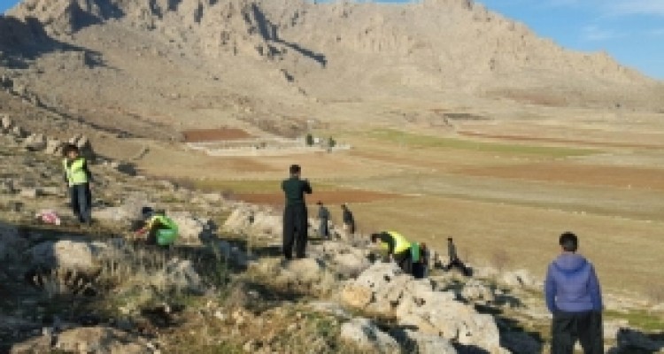 	کاشت بذر گیاهان کوهی موجود در طبیعت کوه شاهو در قالب طرح "به یاد شاهو" آغاز شد+ تصاویر 