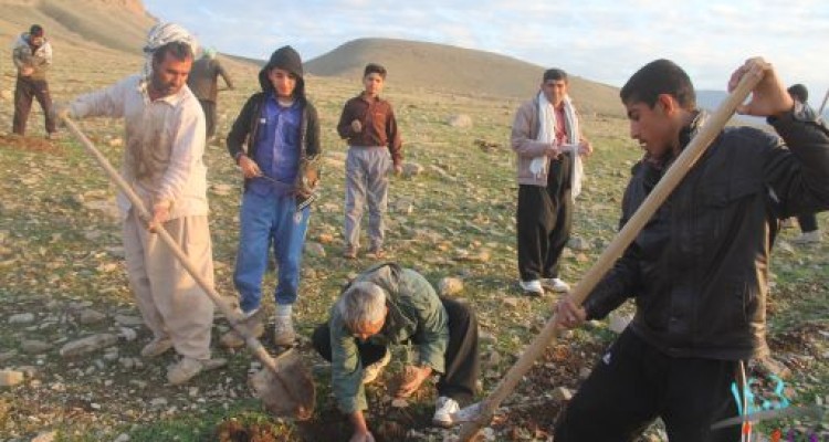 	احیاء بیش از35 هکتار از مراتع طبیعی شهرستان سرپل‌ذهاب 