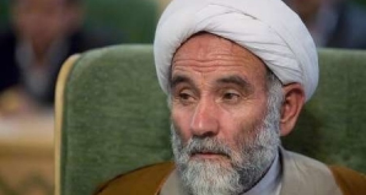 	وحدت شیعه و سنی الهام بخش پیام اسلام ناب محمدی است 