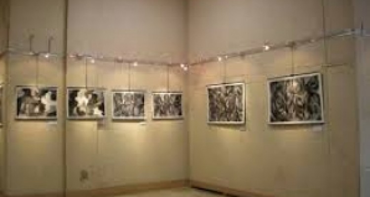  اولین نگارخانه خصوصی غرب کشور در کرمانشاه افتتاح می شود 