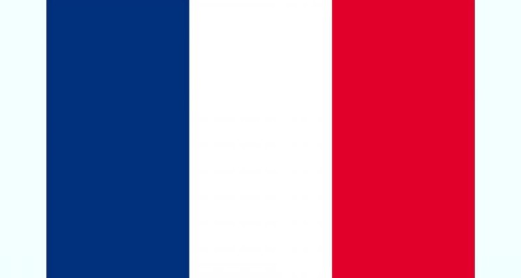 فرانسه اعدام آیت الله نمر را به شدت محکوم کرد