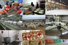 نگاهی به مشکلات واحد های تولیدی در استان کرمانشاه/ از کارخانه ای که وام بلای جانش شد تا حال نزار صنعت ماکیان 