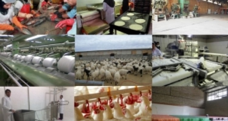 نگاهی به مشکلات واحد های تولیدی در استان کرمانشاه/ از کارخانه ای که وام بلای جانش شد تا حال نزار صنعت ماکیان 