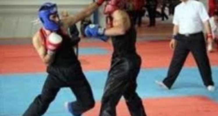 	اجلاس سران فدراسیون جهانی کونگ‌فو در کرمانشاه برگزار می‌شود 