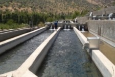 	اعطای بیش از ۱۷میلیارد تومان به طرح های اقتصادمقاومتی در کرمانشاه 