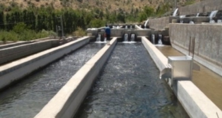 	اعطای بیش از ۱۷میلیارد تومان به طرح های اقتصادمقاومتی در کرمانشاه 