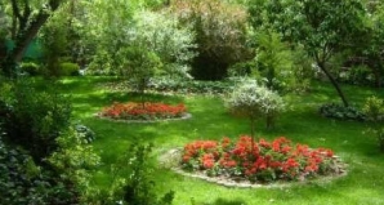 	سرانه فضای سبز در کرمانشاه به میانگین کشوری می رسد 