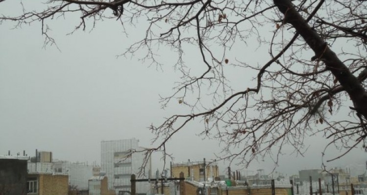 	هوای بارانی و مه آلود در شهرستان جوانرود 