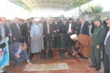 	میهمانی لاله ها در گلزار شهدا/ قبور مطهر شهدای سرپلذهاب عطر افشانی شد 