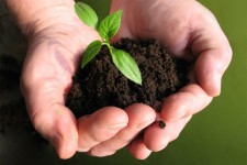 	کرمانشاه قطب تولید محصولات ارگانیک/از انار پاوه تا عسل شاهو و اورامان 