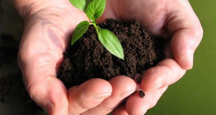 	کرمانشاه قطب تولید محصولات ارگانیک/از انار پاوه تا عسل شاهو و اورامان 