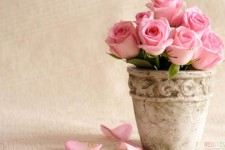  راهنمای انتخاب گلدان مناسب منزلتان 