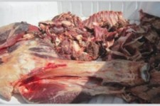 	کشف و ضبط بیش از ۶۰ هزار تن گوشت آلوده در کرمانشاه 